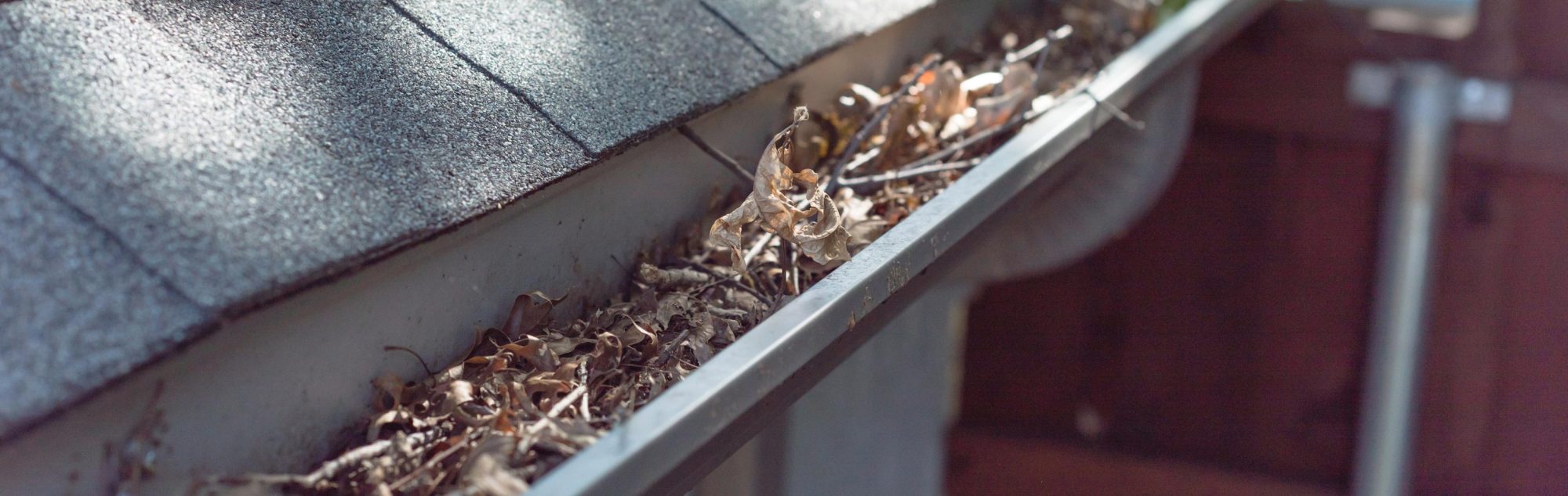 gutter cleaning services